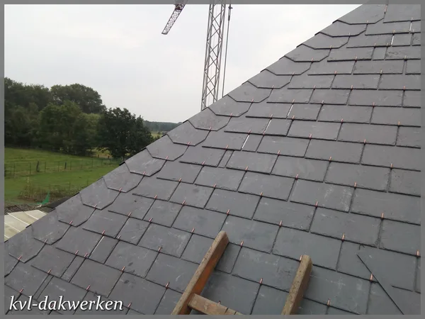 Noordboom met lood blind ingewerkt, natuurleien 32/22