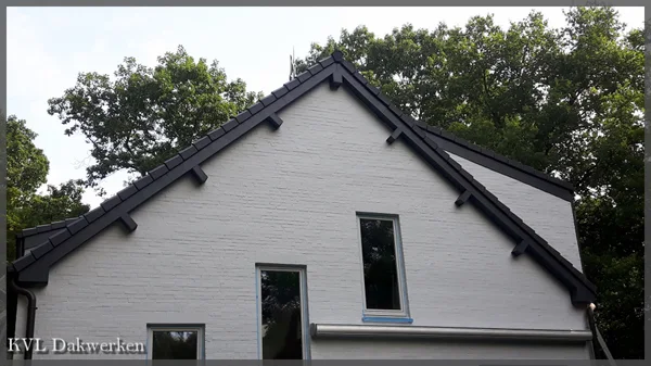 Eternit Cedral board leisteengrijs